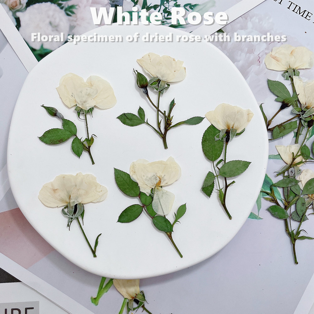 12개, 자연스러운 흰색 분홍색 붉은 장미 가지, 실제 - Wedding Card Box 리뷰 및 가격